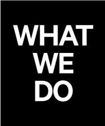 What We do